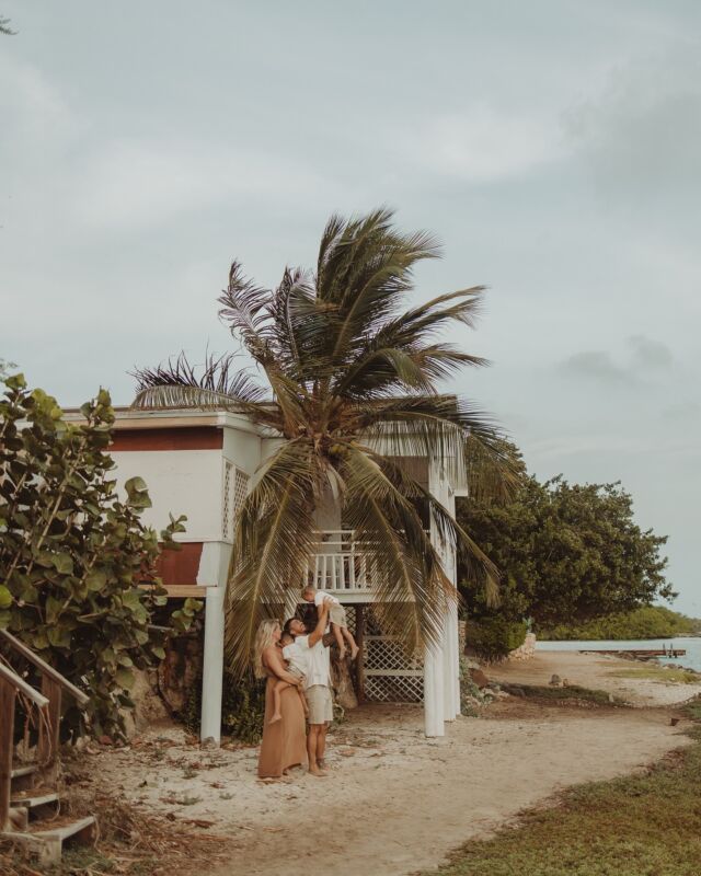 The 4 of us🧡

#photographyaruba #carribeanphotography #photographeraruba #arubaphotographer #lovecouplesshoot #canoncamera #arubaphotoshoot  #beautifulmoments #summershoot #familyshoot #motherdaughter #fatherson #dushibida #onehappyisland #paradise #arubabeach #caribbeanshoot #arubalove #islandlife #home