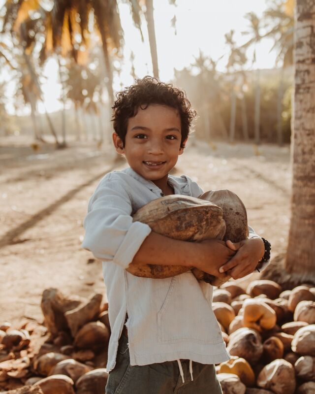 Daydreaming of coconuts and palmtrees🥥🌴

#photographyaruba #carribeanphotography #photographeraruba #arubaphotographer #lovecouplesshoot #canoncamera #arubaphotoshoot  #beautifulmoments #summershoot #familyshoot #motherdaughter #fatherson #dushibida #onehappyisland #paradise #arubabeach #caribbeanshoot #arubalove #islandlife